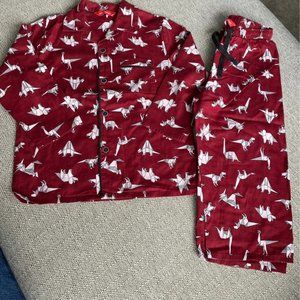 Boys cotton dinosaur cyberjammies